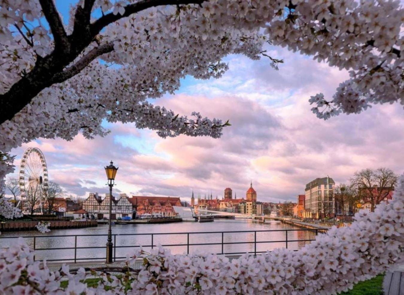 Baltic Gdansk Old Town Heart Aparthotel Bagian luar foto